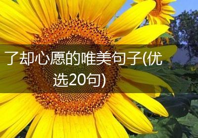 了却心愿的唯美句子(优选20句)