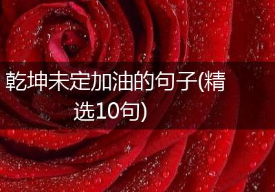 乾坤未定加油的句子(精选10句)