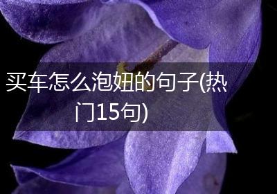 买车怎么泡妞的句子(热门15句)