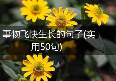 事物飞快生长的句子(实用50句)