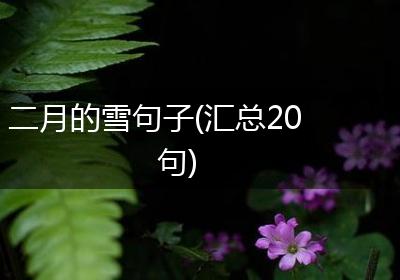 二月的雪句子(汇总20句)