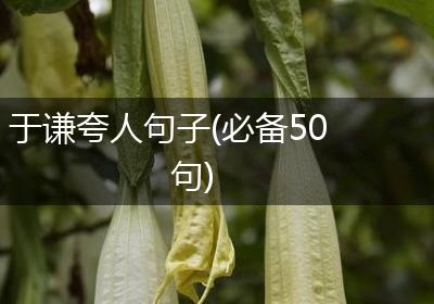 于谦夸人句子(必备50句)
