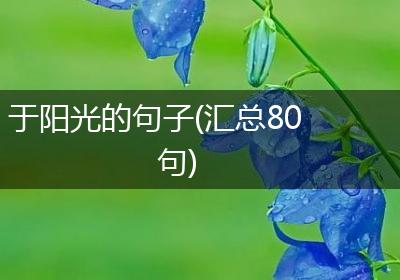 于阳光的句子(汇总80句)