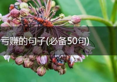 亏赚的句子(必备50句)