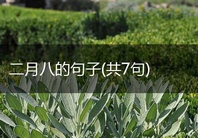 二月八的句子(共7句)