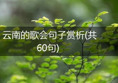 云南的歌会句子赏析(共60句)