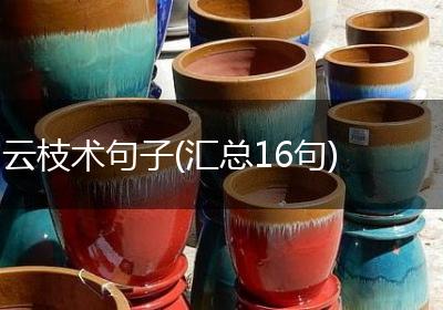 云枝术句子(汇总16句)