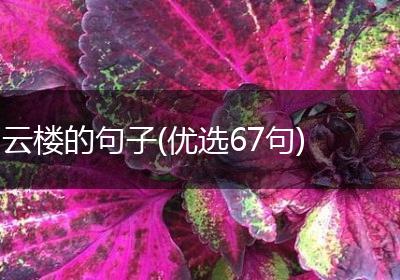 云楼的句子(优选67句)