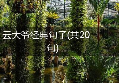 云大爷经典句子(共20句)
