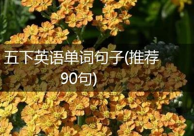 五下英语单词句子(推荐90句)