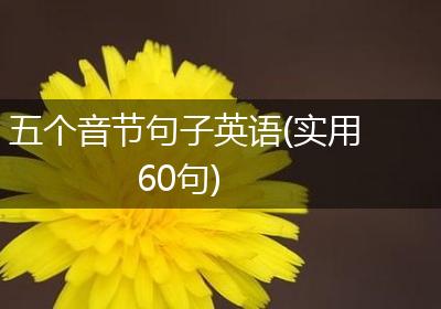 五个音节句子英语(实用60句)