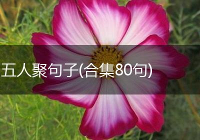 五人聚句子(合集80句)