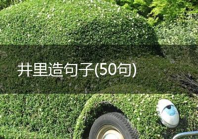 井里造句子(50句)