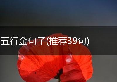 五行金句子(推荐39句)