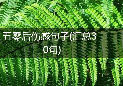 五零后伤感句子(汇总30句)