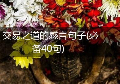 交易之道的感言句子(必备40句)