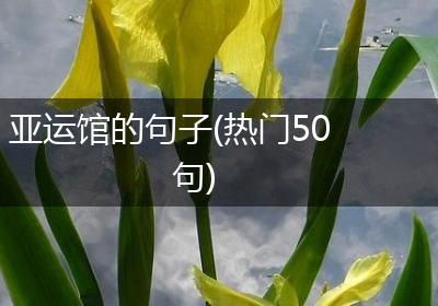 亚运馆的句子(热门50句)