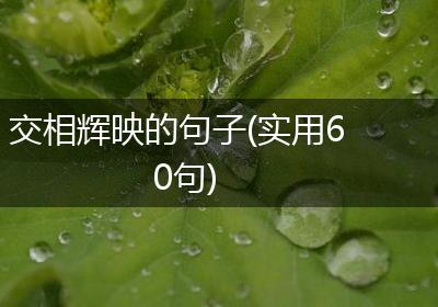 交相辉映的句子(实用60句)