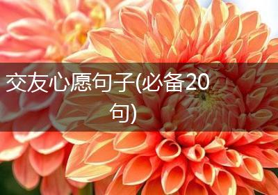 交友心愿句子(必备20句)