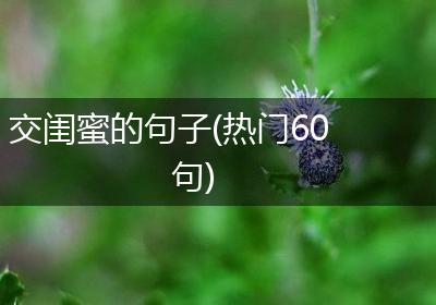 交闺蜜的句子(热门60句)