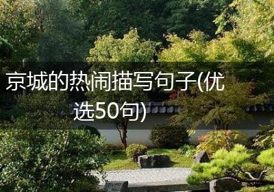 京城的热闹描写句子(优选50句)