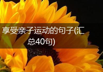 享受亲子运动的句子(汇总40句)