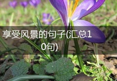 享受风景的句子(汇总10句)