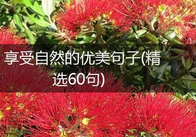 享受自然的优美句子(精选60句)