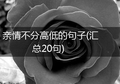 亲情不分高低的句子(汇总20句)