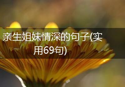 亲生姐妹情深的句子(实用69句)