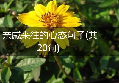 亲戚来往的心态句子(共20句)