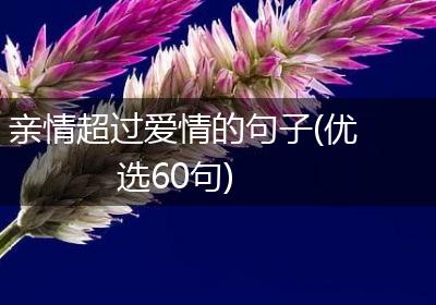 亲情超过爱情的句子(优选60句)