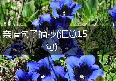 亲情句子摘抄(汇总15句)