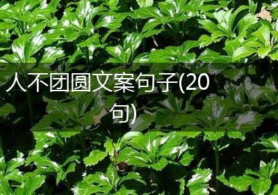 人不团圆文案句子(20句)
