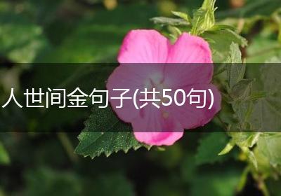 人世间金句子(共50句)