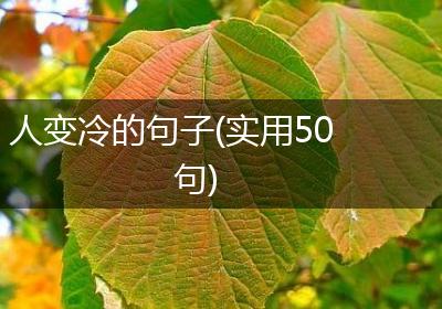 人变冷的句子(实用50句)