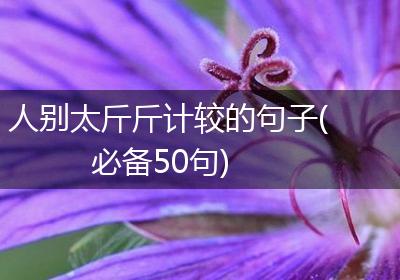 人别太斤斤计较的句子(必备50句)
