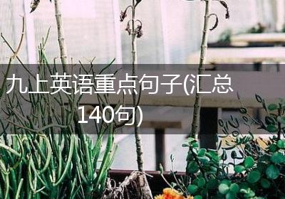 九上英语重点句子(汇总140句)