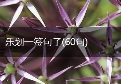 乐划一签句子(60句)