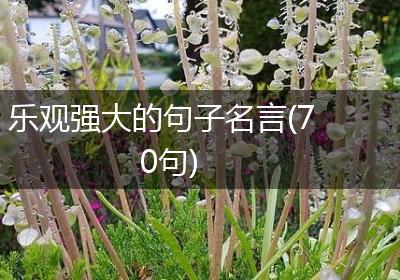乐观强大的句子名言(70句)
