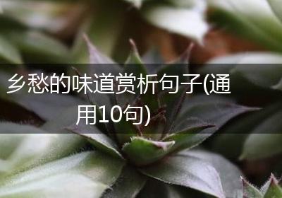乡愁的味道赏析句子(通用10句)