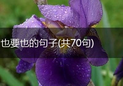 也要也的句子(共70句)