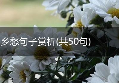 乡愁句子赏析(共50句)
