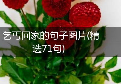 乞丐回家的句子图片(精选71句)