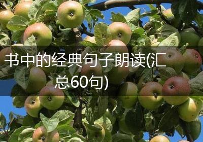 书中的经典句子朗读(汇总60句)