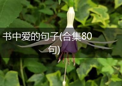 书中爱的句子(合集80句)