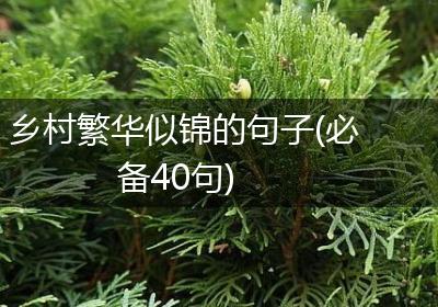 乡村繁华似锦的句子(必备40句)