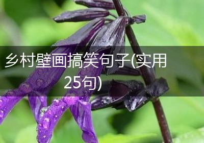乡村壁画搞笑句子(实用25句)