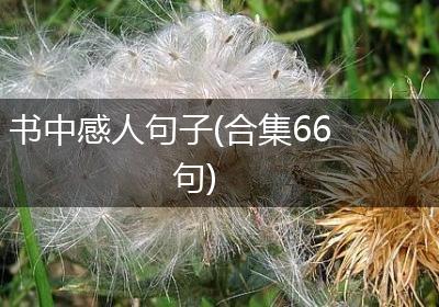 书中感人句子(合集66句)