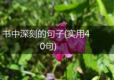 书中深刻的句子(实用40句)